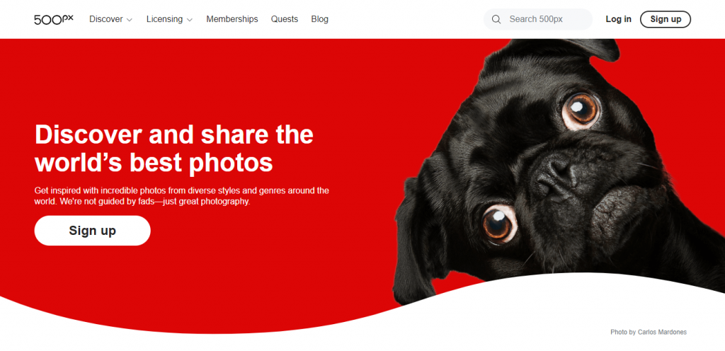 500px website homepage